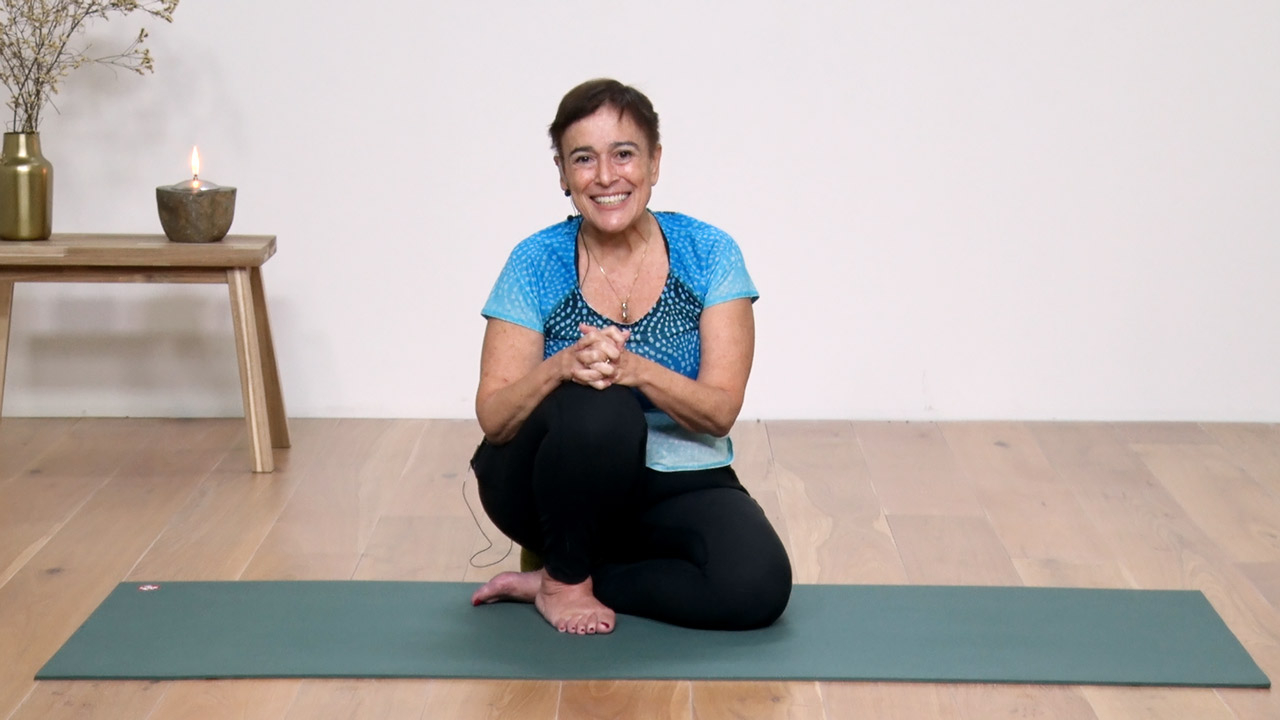Introduction to the Chakras, Meridians and Asana program