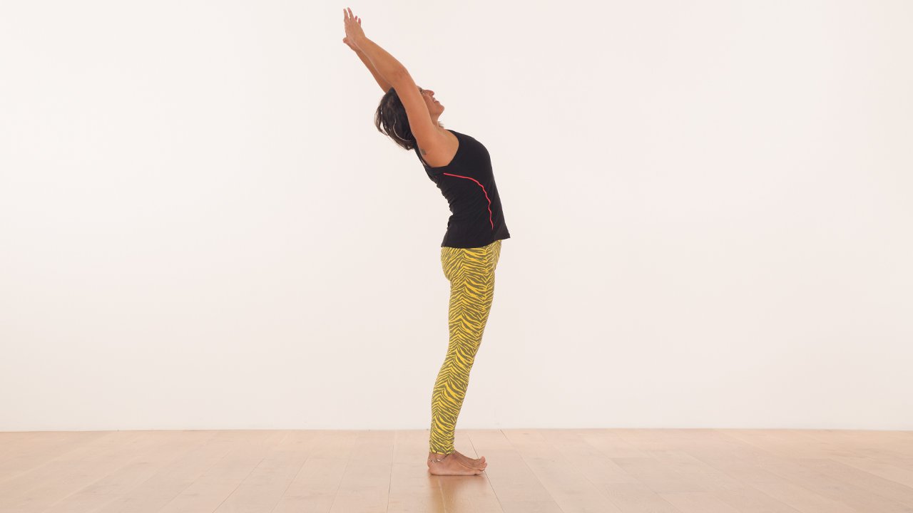 Somatic explorations of the spine to transform your movement practice