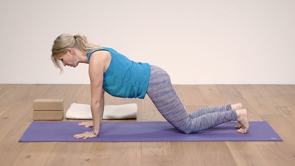 Video thumbnail for: Yoga for Beginners Course Class 3 - Fundamentals of flow