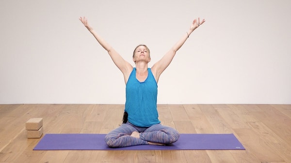Video thumbnail for: Yoga for Beginners Course Class 4 - Sun Salutations